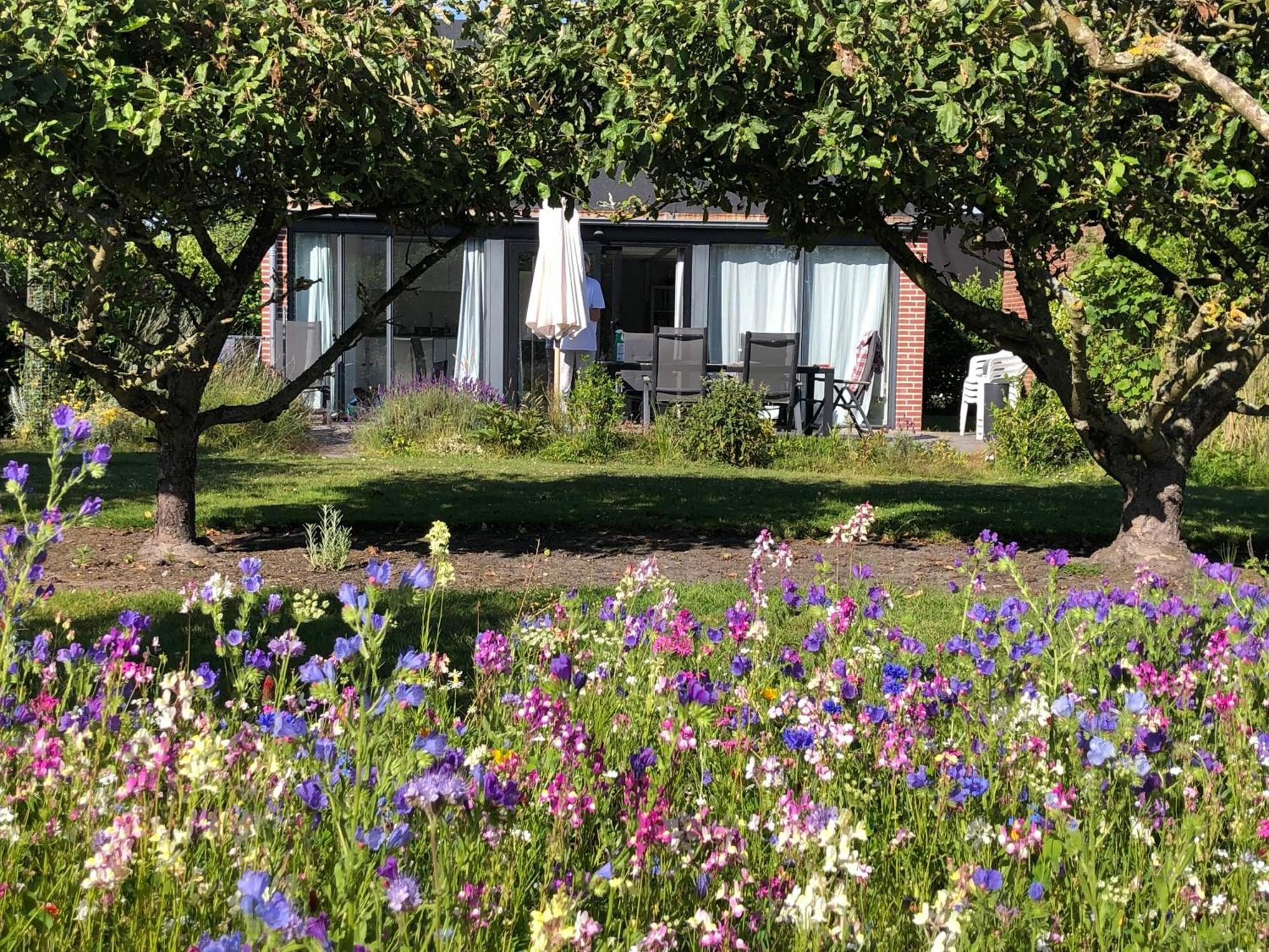 Buitenplaats Schouwen Burgh-Haamstede Exteriér fotografie